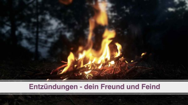Aufzeichnung Webinar Entzündungen - Freund und Feind