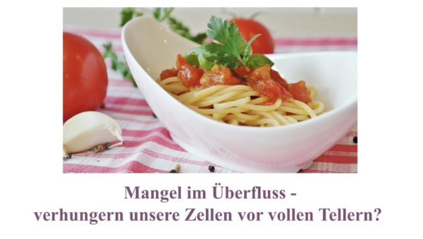 Aufzeichnung Webinar: Mangel im Überfluss - verhungern unsere Zellen vor vollen Tellern?