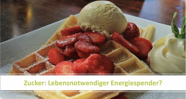 Aufzeichnung Webinar - Zucker: Lebensnotwendiger Energiespender?